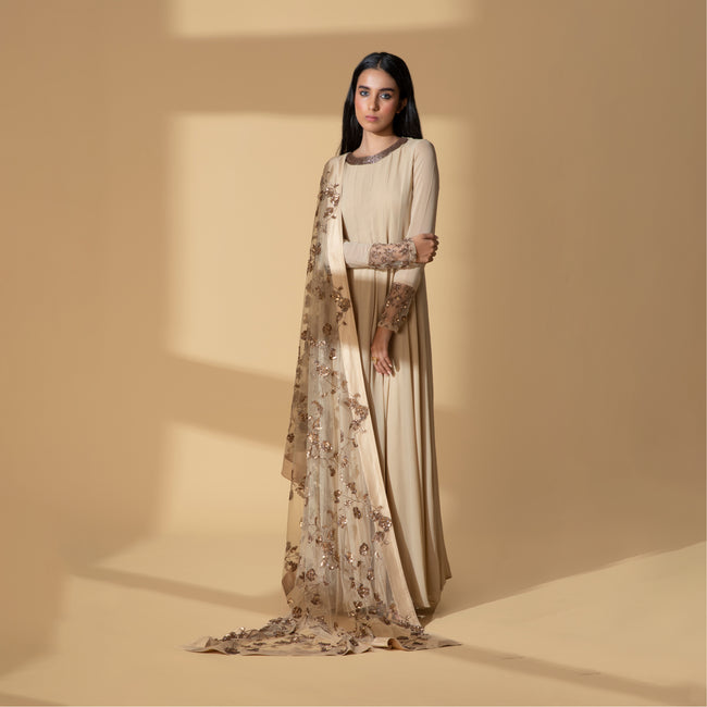 Gold Gloom Hand Embroidered Gown