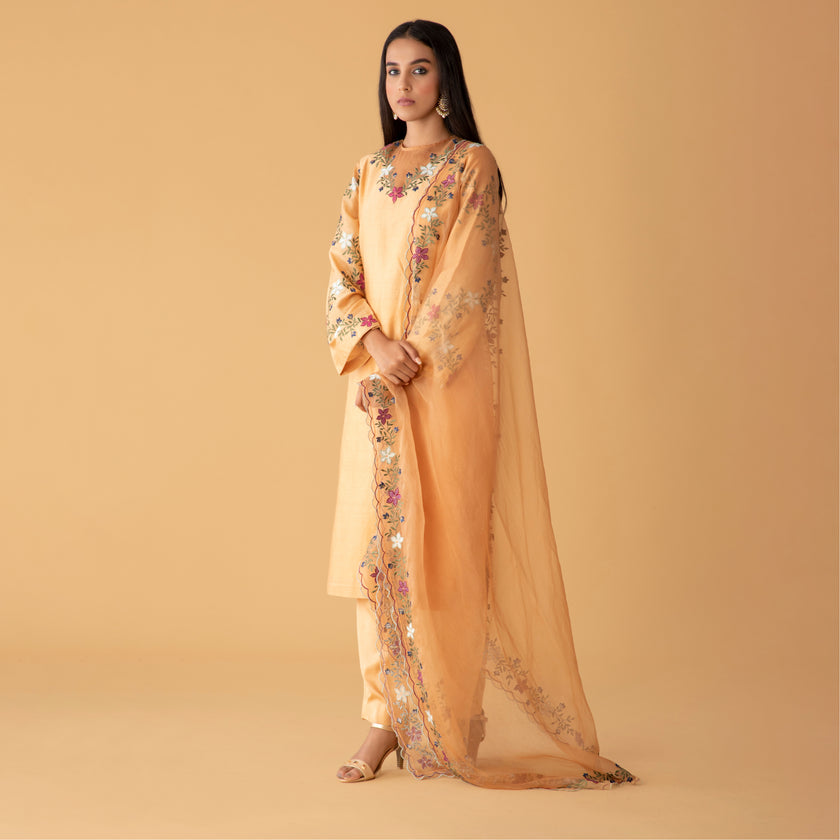 Sundowner Chanderi Nude Palette set